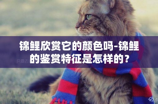 錦鯉欣賞它的顏色嗎-錦鯉的鑒賞特征是怎樣的？