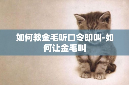 如何教金毛聽口令即叫-如何讓金毛叫