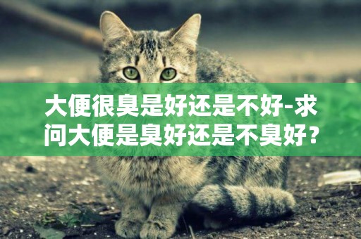 大便很臭是好還是不好-求問大便是臭好還是不臭好？