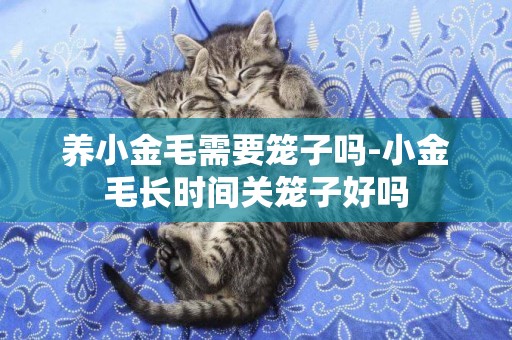 養小金毛需要籠子嗎-小金毛長時間關籠子好嗎