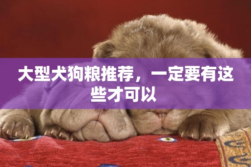 大型犬狗糧推薦，一定要有這些才可以 