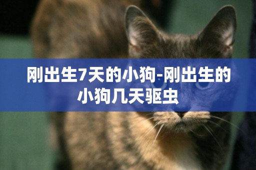 剛出生7天的小狗-剛出生的小狗幾天驅蟲