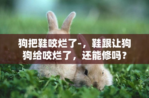 狗把鞋咬爛了-，鞋跟讓狗狗給咬爛了，還能修嗎？