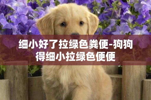 細小好了拉綠色糞便-狗狗得細小拉綠色便便