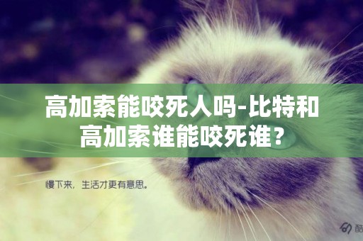 高加索能咬死人嗎-比特和高加索誰能咬死誰？