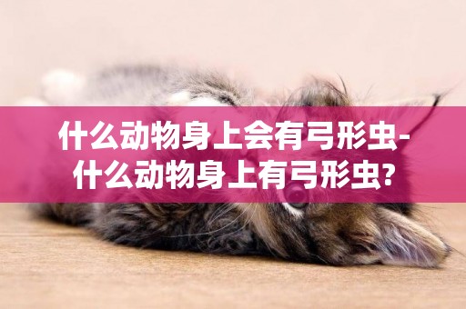 什么動物身上會有弓形蟲-什么動物身上有弓形蟲?