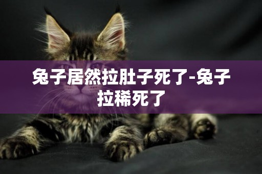 兔子居然拉肚子死了-兔子拉稀死了