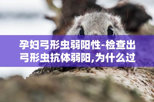 孕婦弓形蟲弱陽性-檢查出弓形蟲抗體弱陽,為什么過2個星期還要去檢查