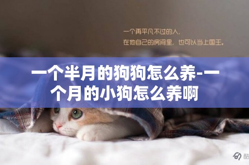 一個半月的狗狗怎么養-一個月的小狗怎么養啊