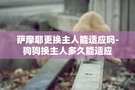 薩摩耶更換主人能適應嗎-狗狗換主人多久能適應