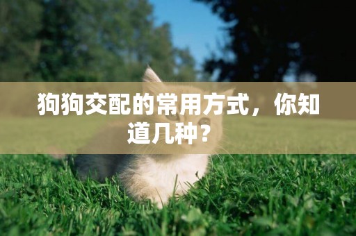 狗狗交配的常用方式，你知道幾種？ 