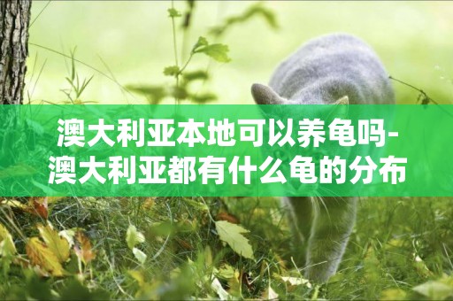 澳大利亞本地可以養龜嗎-澳大利亞都有什么龜的分布。 水龜陸龜都要。希望同時給我帶幾只好的龜龜回來從澳