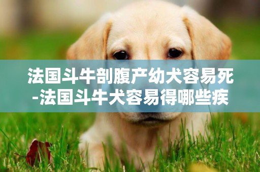 法國斗牛剖腹產幼犬容易死-法國斗牛犬容易得哪些疾病