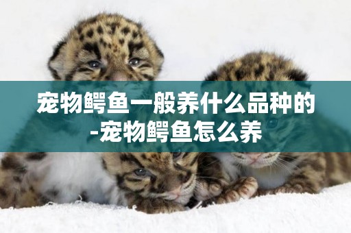 寵物鱷魚一般養什么品種的-寵物鱷魚怎么養