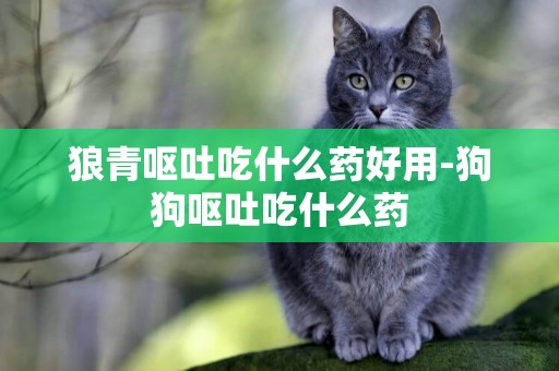 狼青嘔吐吃什么藥好用-狗狗嘔吐吃什么藥
