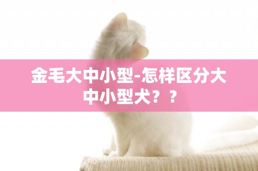 金毛大中小型-怎樣區分大中小型犬？？
