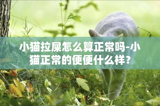 小貓拉屎怎么算正常嗎-小貓正常的便便什么樣？