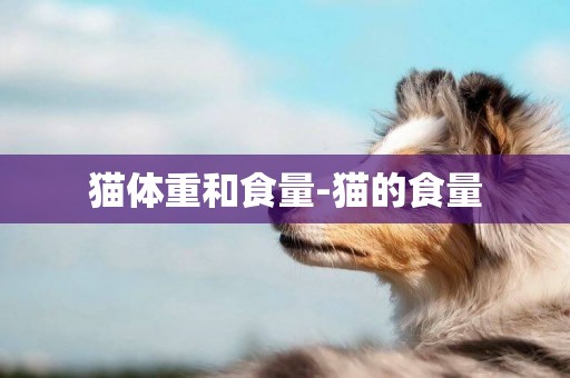 貓體重和食量-貓的食量