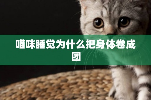 喵咪睡覺為什么把身體卷成團