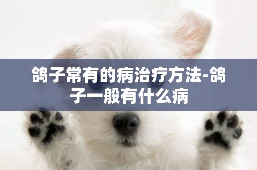 鴿子常有的病治療方法-鴿子一般有什么病