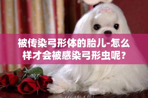 被傳染弓形體的胎兒-怎么樣才會被感染弓形蟲呢？