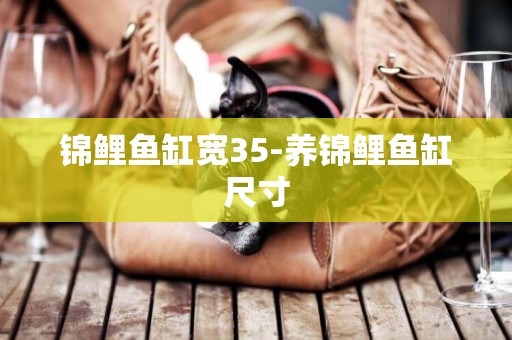 錦鯉魚缸寬35-養錦鯉魚缸尺寸