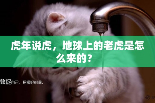虎年說虎，地球上的老虎是怎么來的？ 