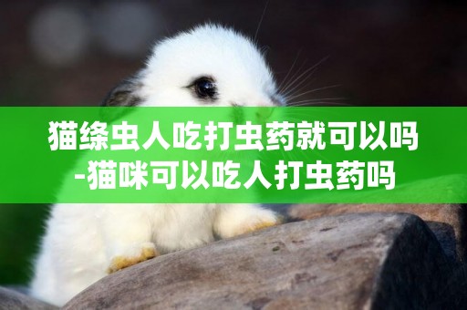 貓絳蟲人吃打蟲藥就可以嗎-貓咪可以吃人打蟲藥嗎