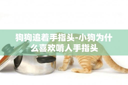 狗狗追著手指頭-小狗為什么喜歡啃人手指頭