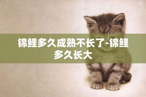 錦鯉多久成熟不長了-錦鯉多久長大