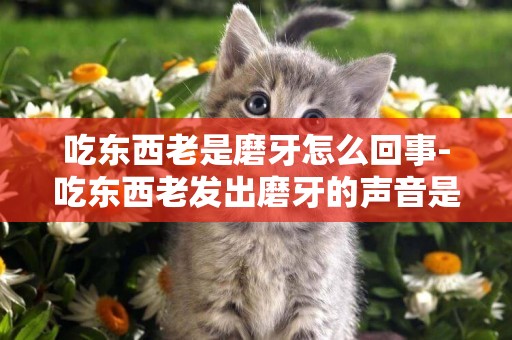 吃東西老是磨牙怎么回事-吃東西老發出磨牙的聲音是為什么