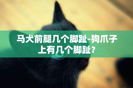 馬犬前腿幾個腳趾-狗爪子上有幾個腳趾？