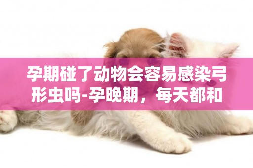孕期碰了動物會容易感染弓形蟲嗎-孕晚期，每天都和貓狗接觸，這樣會感染弓形蟲嗎