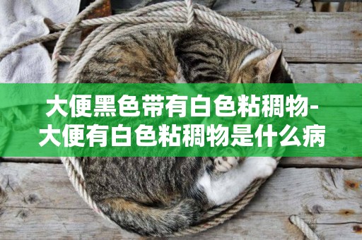 大便黑色帶有白色粘稠物-大便有白色粘稠物是什么病