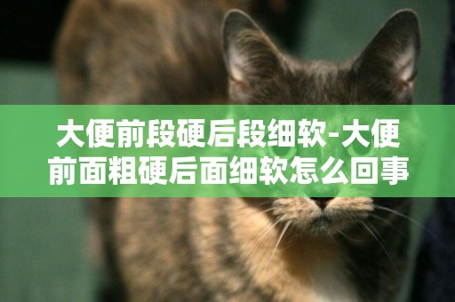 大便前段硬后段細軟-大便前面粗硬后面細軟怎么回事