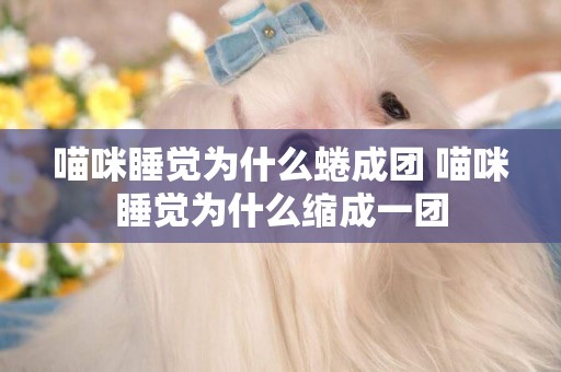 喵咪睡覺為什么蜷成團 喵咪睡覺為什么縮成一團