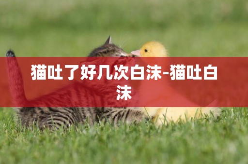 貓吐了好幾次白沫-貓吐白沫