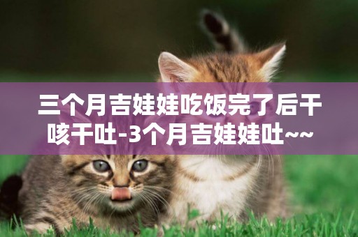 三個月吉娃娃吃飯完了后干咳干吐-3個月吉娃娃吐~~