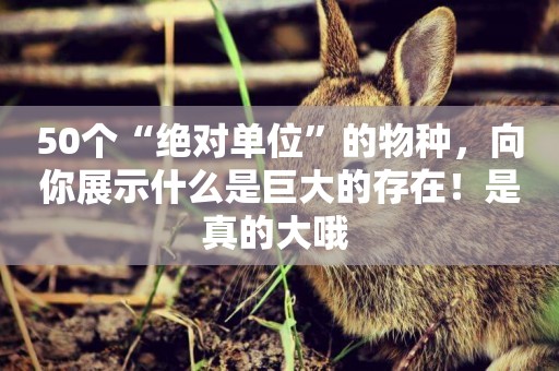 50個“絕對單位”的物種，向你展示什么是巨大的存在！是真的大哦 