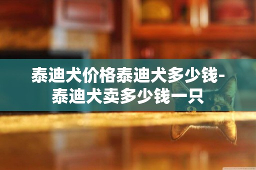 泰迪犬價格泰迪犬多少錢-泰迪犬賣多少錢一只