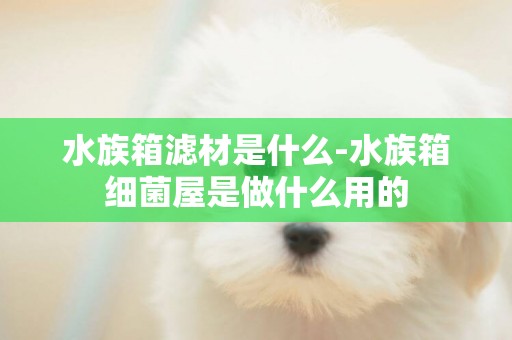 水族箱濾材是什么-水族箱細菌屋是做什么用的