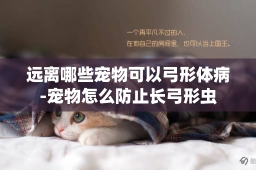遠離哪些寵物可以弓形體病-寵物怎么防止長弓形蟲