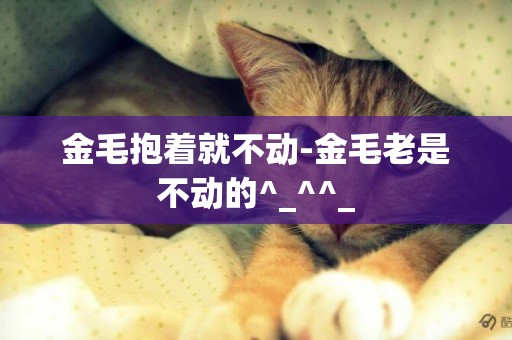 金毛抱著就不動-金毛老是不動的^_^^_