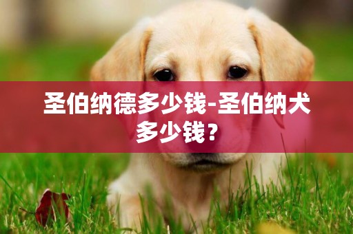 圣伯納德多少錢-圣伯納犬多少錢？