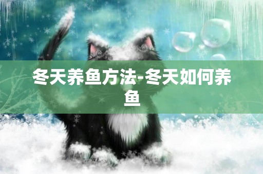 冬天養魚方法-冬天如何養魚