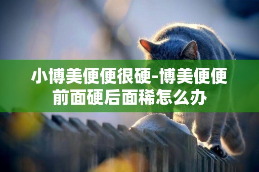 小博美便便很硬-博美便便前面硬后面稀怎么辦
