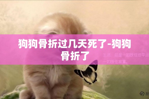 狗狗骨折過幾天死了-狗狗骨折了