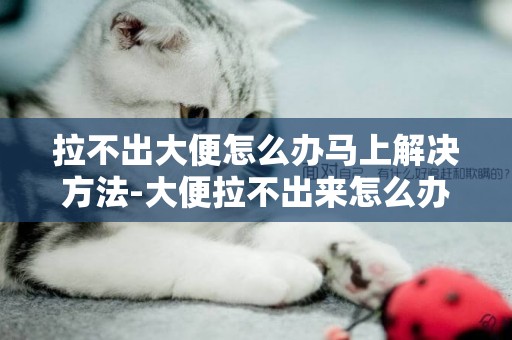 拉不出大便怎么辦馬上解決方法-大便拉不出來怎么辦