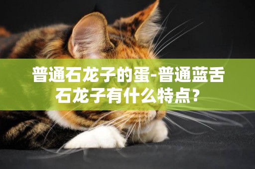 普通石龍子的蛋-普通藍舌石龍子有什么特點？