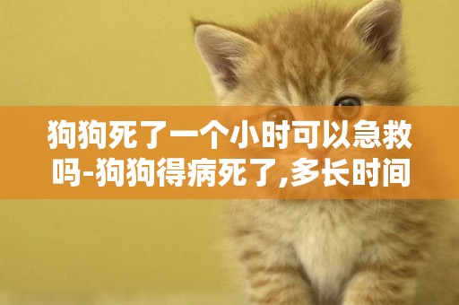狗狗死了一個小時可以急救嗎-狗狗得病死了,多長時間后才可以在養?
